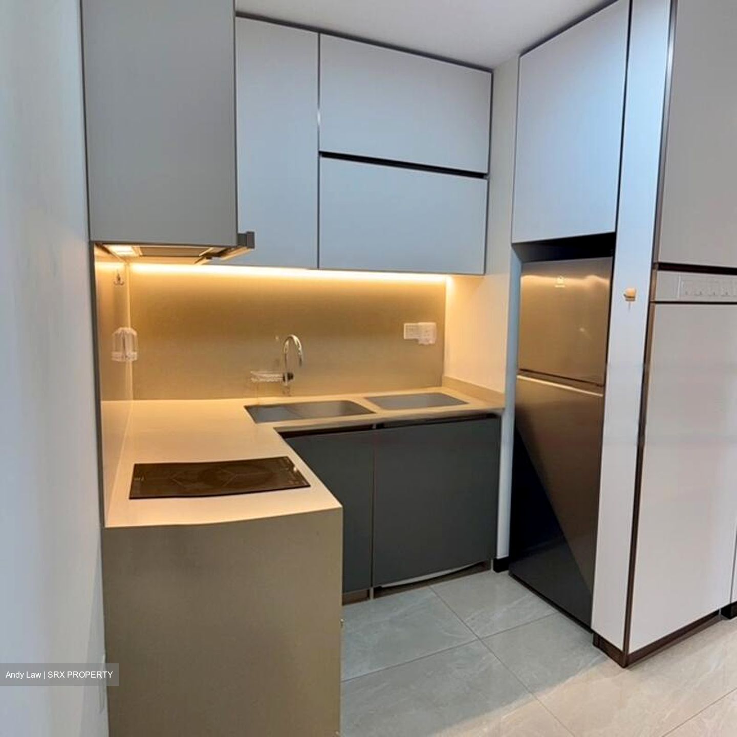 Normanton Park (D5), Apartment #456091121